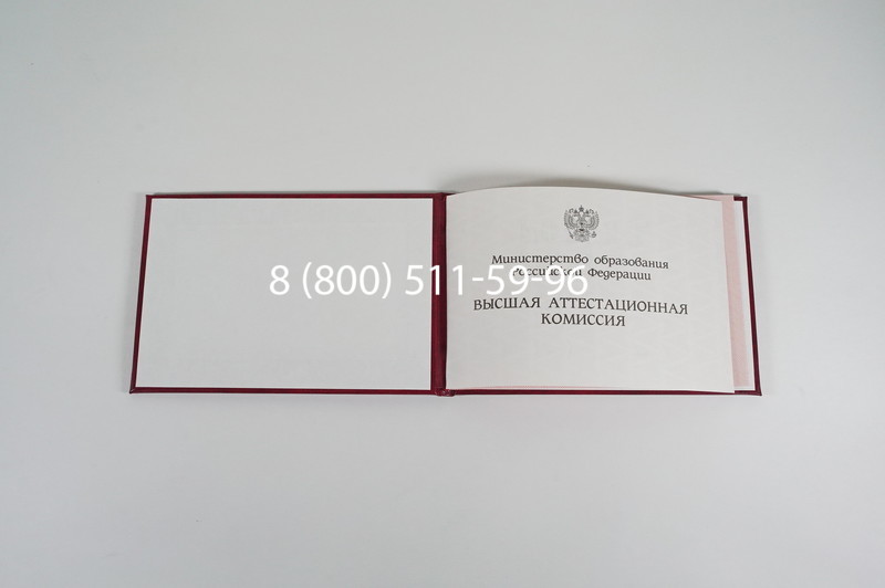 Диплом доктора наук 1995-2006 года в Новокузнецке Диплом доктора наук 1995-2006 года в Новокузнецке
