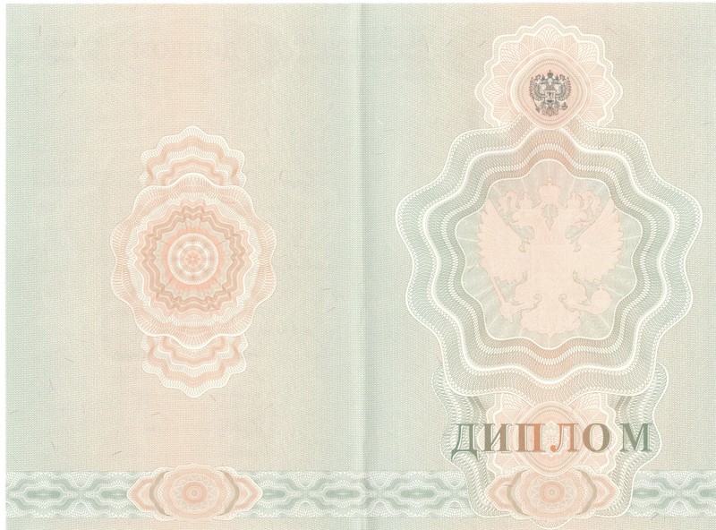 Купить Диплом о начальном образовании 2007-2009 годов в Новокузнецке Купить Диплом о начальном образовании 2007-2009 годов в Новокузнецке