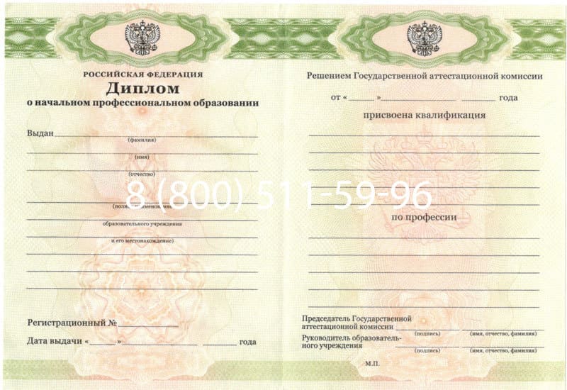 Купить Диплом о начальном образовании 2010-2024 годов в Новокузнецке Купить Диплом о начальном образовании 2010-2024 годов в Новокузнецке